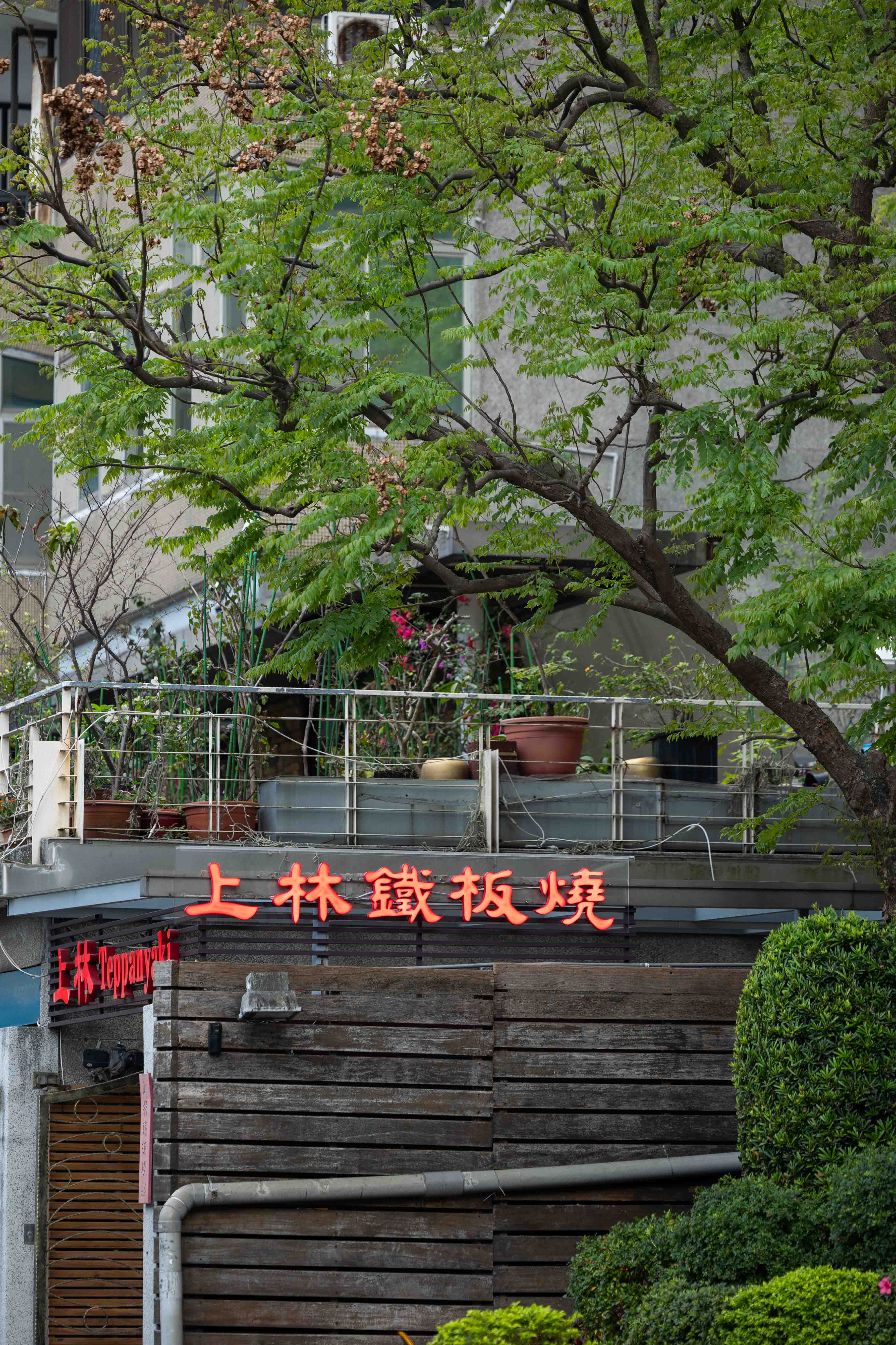 台北市鐵板燒餐廳的廚師現場烹飪表演